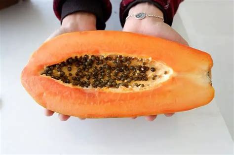 how to dry papaya